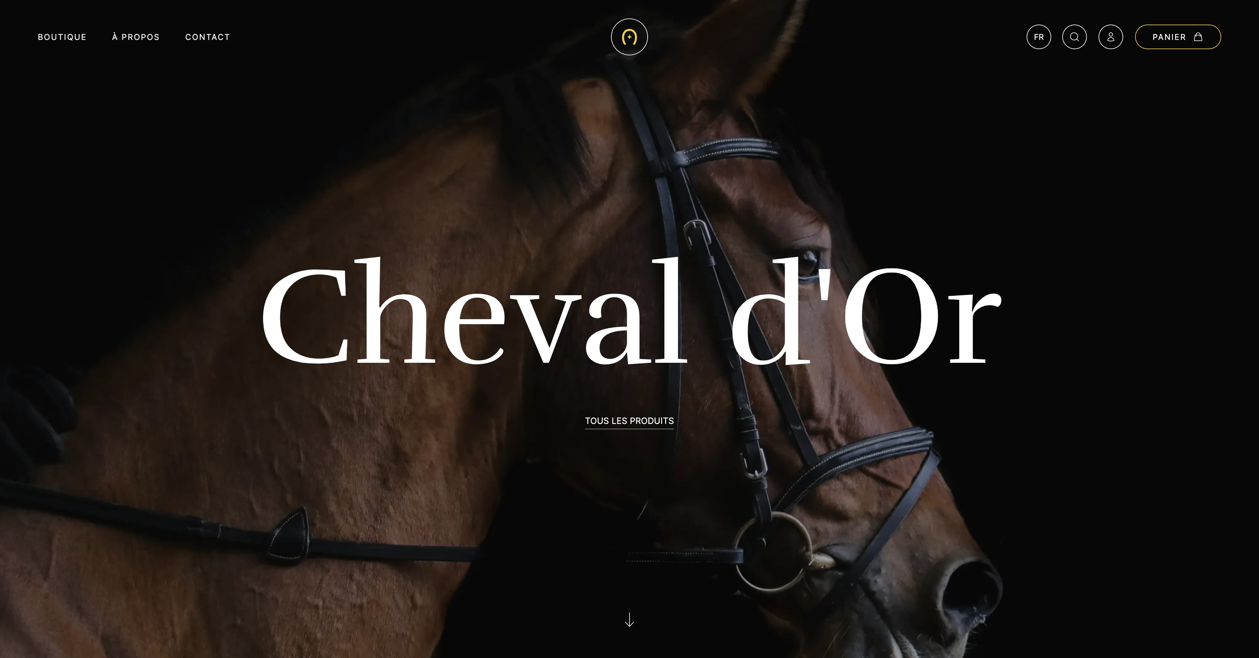 Projet : Cheval d'Or créé en 2022